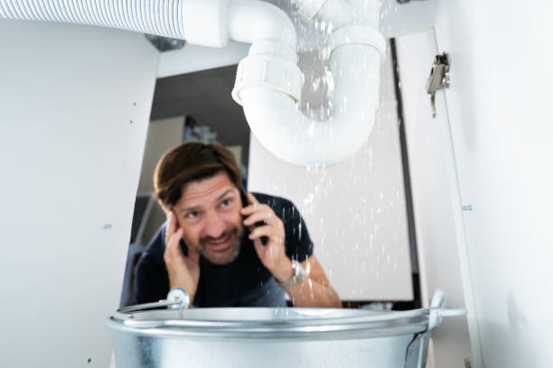 Best Plumbing Inspection Services  in Albion, IL