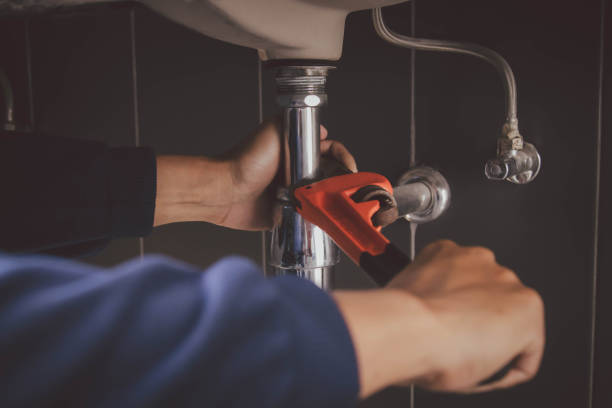 Best Leak Detection Services  in Albion, IL